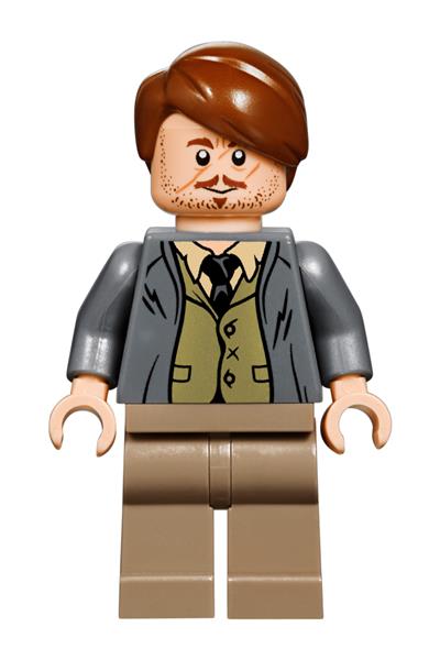 Professor Remus Lupin Minifigure - hp157