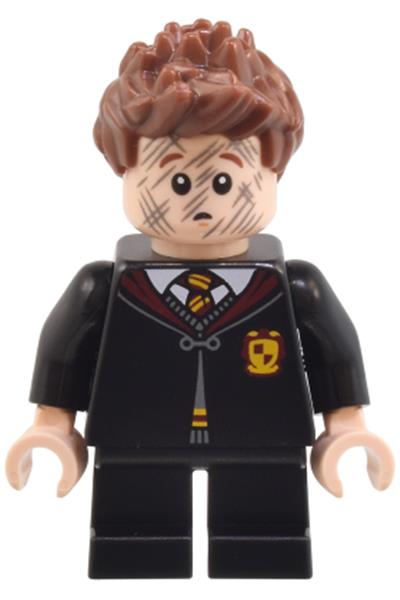Seamus Finnigan Minifigure - hp491