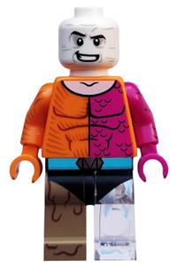Metamorpho Minifigure - colsh12