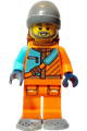 Arctic Explorer
