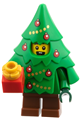 Boy child dressed in a Christmas tree costume - cty1934