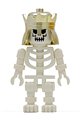 Skeleton