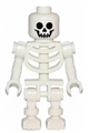 Skeleton