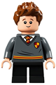 Seamus Finnigan, Gryffindor Sweater with Crest, Black Short Legs - hp268