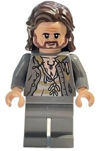 LEGO Sirius Black Minifigure hp352 BrickEconomy