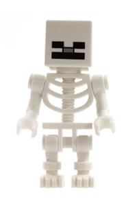 Skeleton with Cube Skull min011