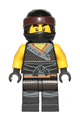 Cole Sons of Garmadon