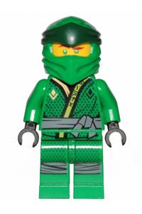 Lloyd Minifigure - Lloyd from the Legacy series wearing a Sons of Garmadon robe - njo514