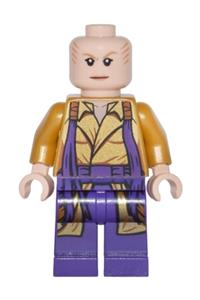 The Ancient One Minifigure - sh298