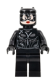 Catwoman wearing a stitched mask and suit - sh885