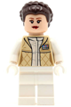 Princess Leia, Hoth Outfit, French Braid Hair - sw0346