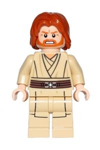 Obi-Wan Kenobi sw0489