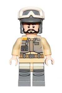 Rebel Trooper, Goggles, Gray Helmet, Black Beard sw0803