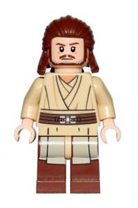 Qui-Gon Jinn without cape sw0810