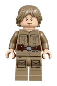 Luke Skywalker sw0971