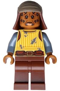 Vizam Minifigure - sw1390