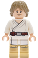 Luke Skywalker from Tatooine with dark tan hair - sw1453