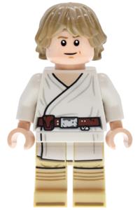 Luke Skywalker SMART Minifigure - Luke Skywalker SMART Minifigure from Tatooine - sw1491