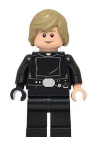 Luke Skywalker SMART Minifigure - Luke Skywalker SMART Minifigure dressed as a Jedi - sw1507