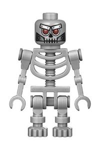 Robo Skeleton tlm048