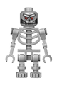 Robo Skeleton