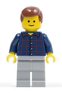 Male in Plaid Button Shirt - Minifigure with a plaid button shirt, reddish brown male hair, and light bluish gray legs - twn069
