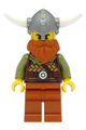 Viking Warrior