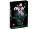 Orchid thumbnail
