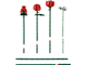 Bouquet of Roses thumbnail