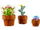 Tiny Plants thumbnail