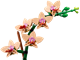 Mini Orchid thumbnail