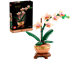 Mini Orchid thumbnail