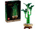 Lucky Bamboo thumbnail
