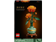 Chrysanthemum thumbnail