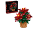 Poinsettia thumbnail