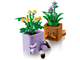 Cosy Plants thumbnail
