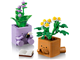 Cosy Plants thumbnail