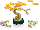 Mini Bonsai Trees thumbnail
