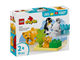 Wild Animal Families Penguins & Lions thumbnail