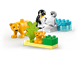 Wild Animal Families Penguins & Lions thumbnail