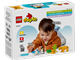 Wild Animal Families Penguins & Lions thumbnail