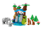3in1 Wild Animal Families thumbnail
