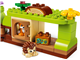 Discovery Forest with Wild Animals thumbnail