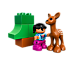 Animals thumbnail