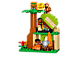 Jungle thumbnail
