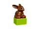 Pets thumbnail