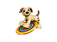 Pets thumbnail