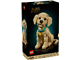 Golden Retriever Puppy thumbnail