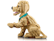 Golden Retriever Puppy thumbnail