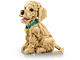 Golden Retriever Puppy thumbnail